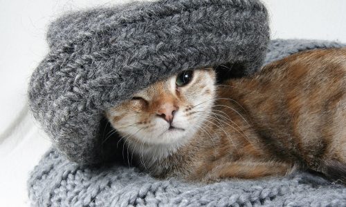 Damska Czapka Robiona na Szydełku